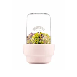 Tarro de germinar con soporte de cerámica - Kilner